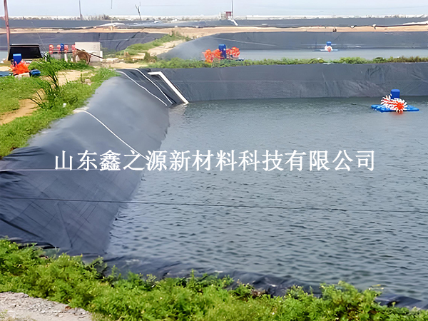 魚塘防滲膜存放技巧：輕松保鮮，以備不時之需